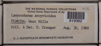 Image Associated With the Occurence